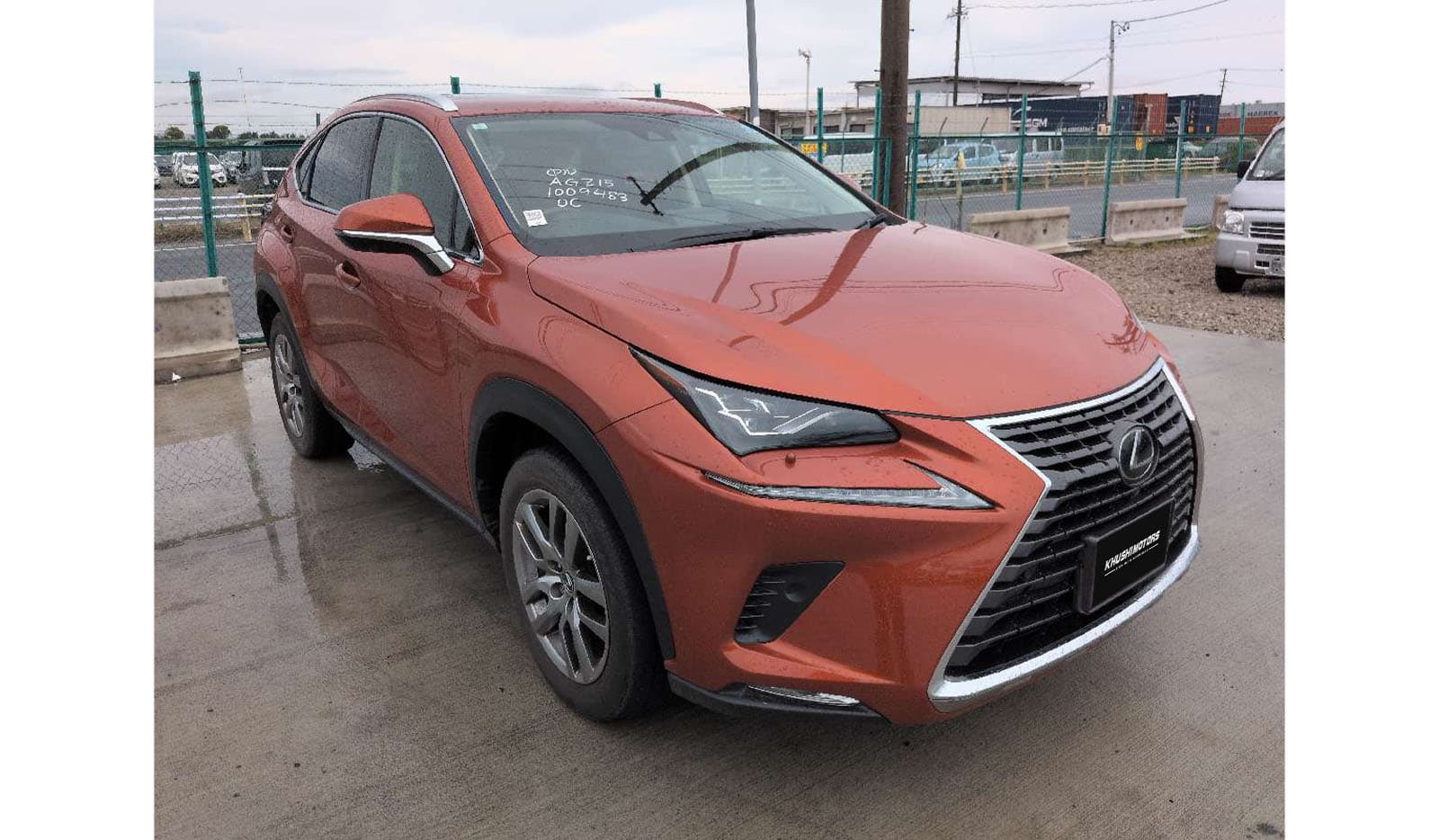 2019 Lexus Nx300 VERSION L image-1