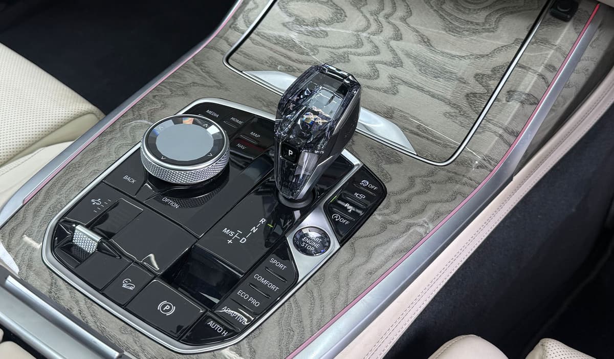 2019 Bmw X7 xDrive 35D M Sport image-11