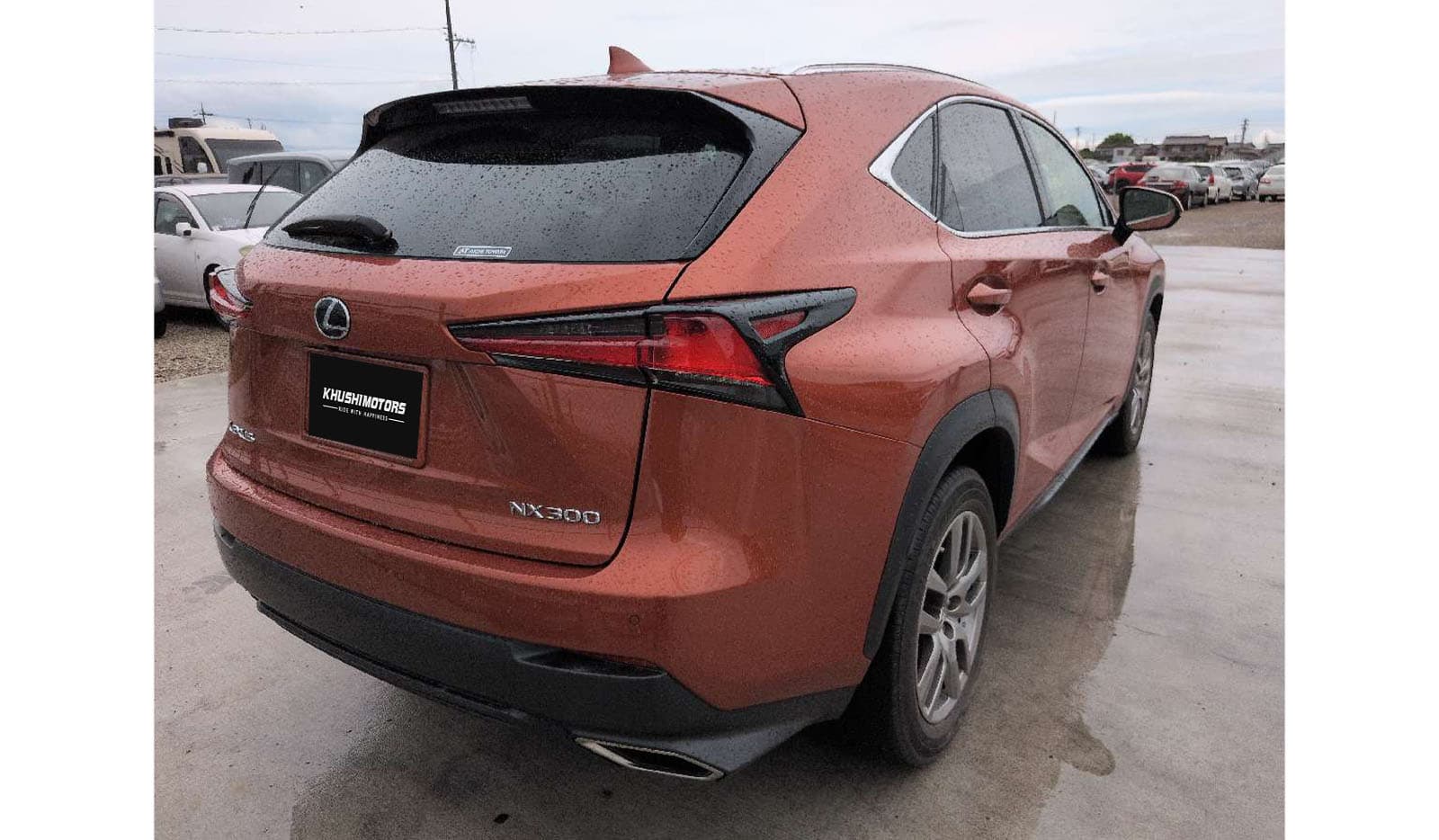 2019 Lexus Nx300 VERSION L image-4