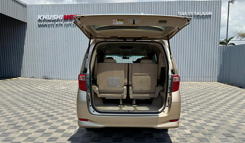2010 Toyota Alphard image-17