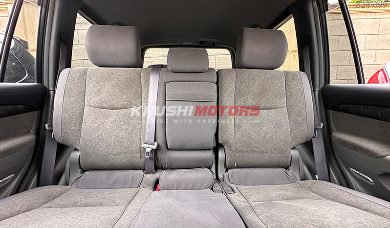 2009 Toyota Land Cruiser Prado image-9