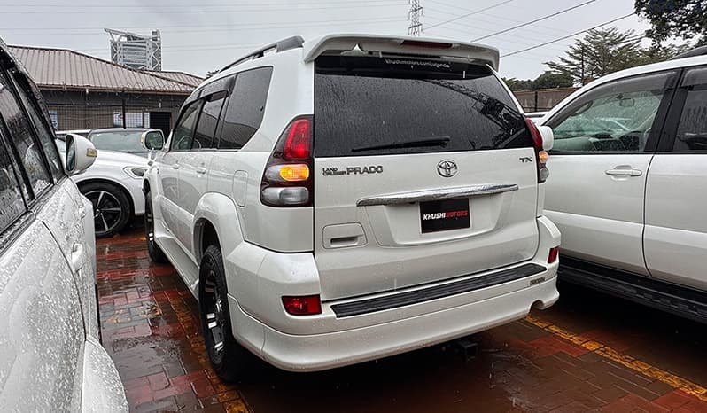 2009 Toyota Land Cruiser Prado image-19