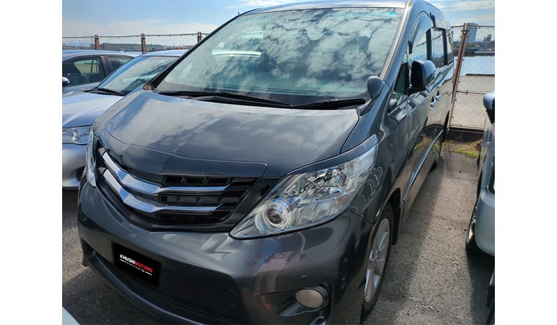 2010 Toyota Alphard image-3