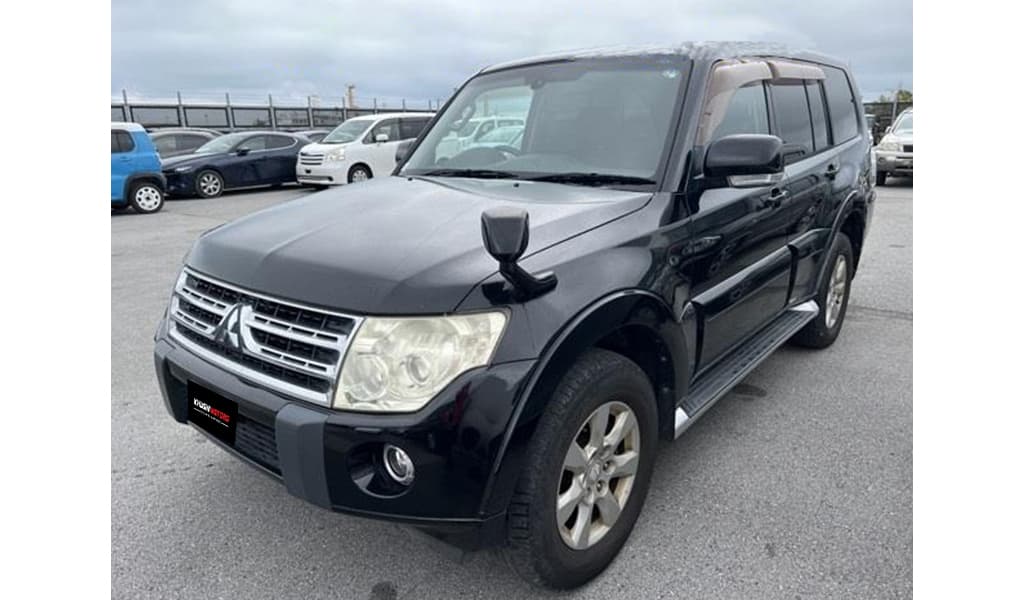 2010 Mitsubishi Pajero Dt Exceed image-3