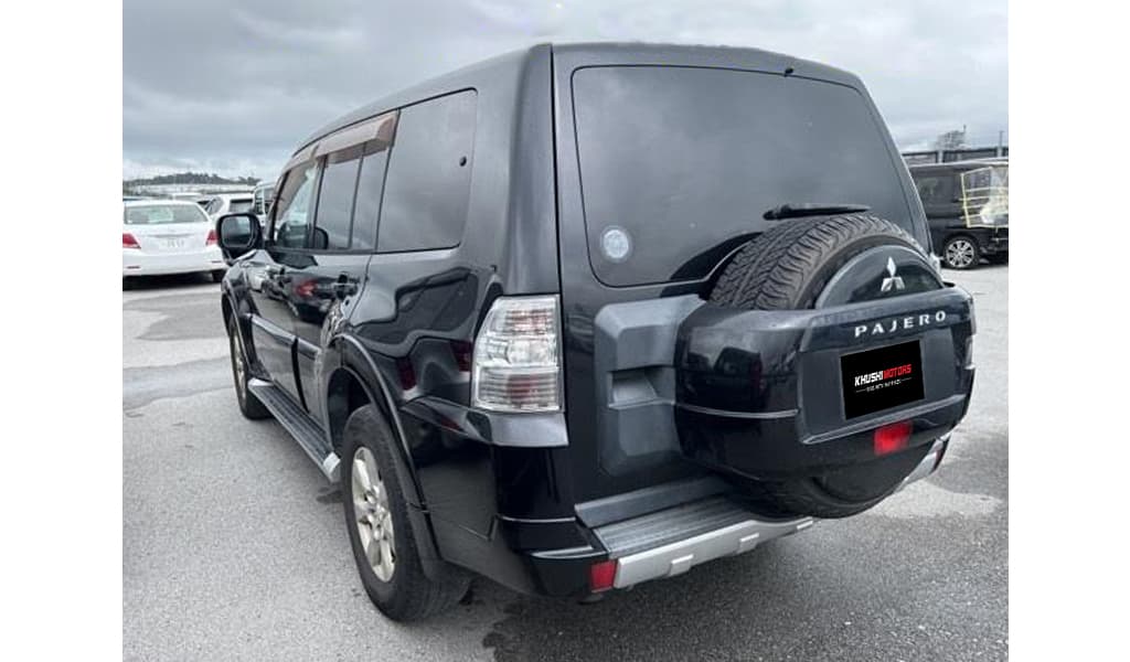 2010 Mitsubishi Pajero Dt Exceed image-4