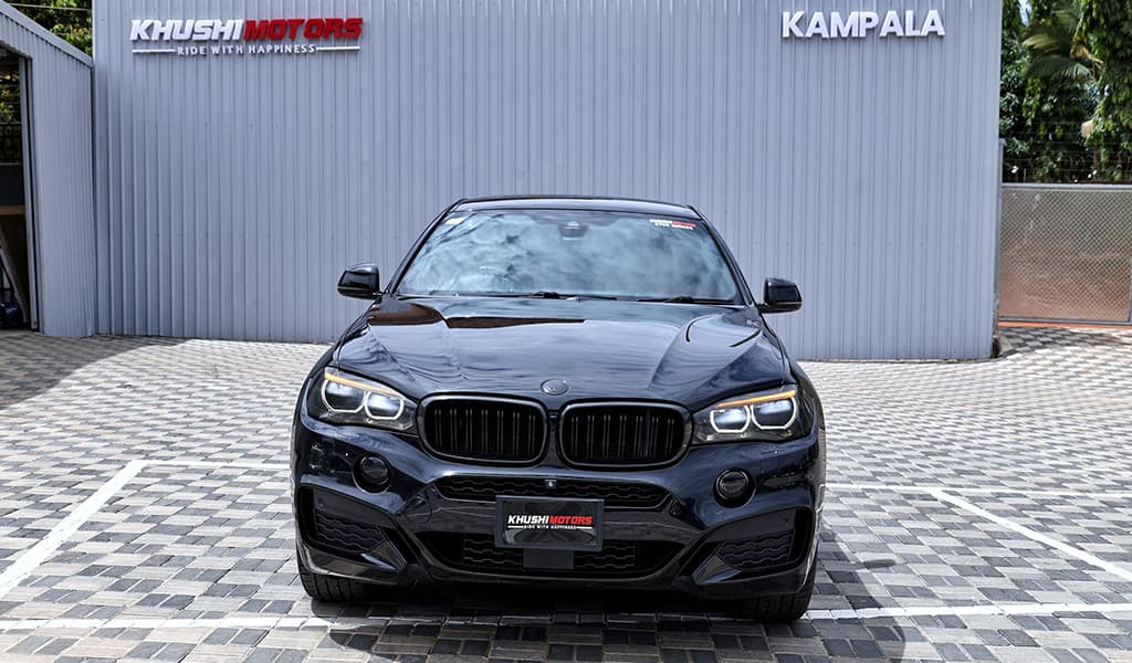 2015 Bmw X6 xDrive M Sports image-18