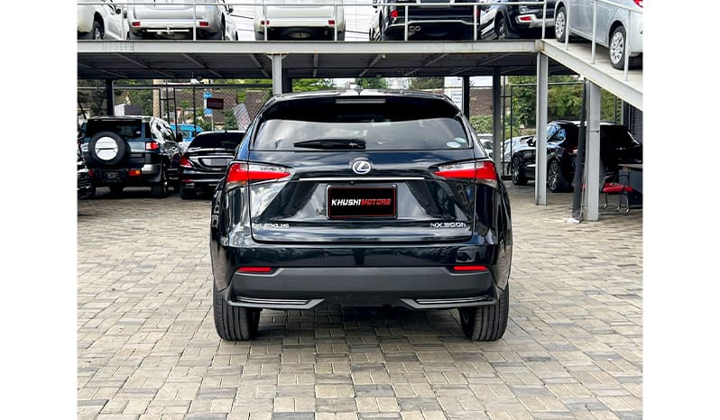 2016 Lexus NX NX300H image-13
