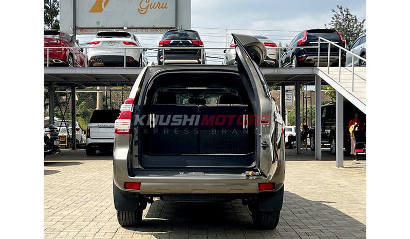 2017 Toyota Land Cruiser Prado G Frontier TX-L image-9