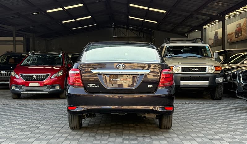 2018 Toyota Corolla Axio G image-13