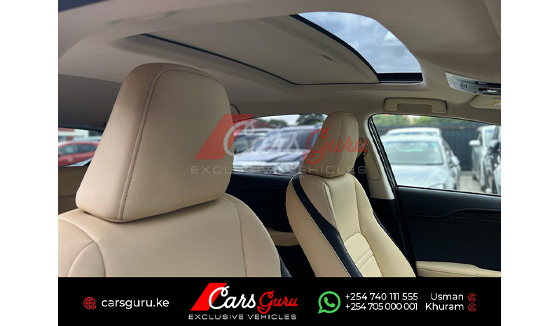 2015 Lexus NX NX200T image-9