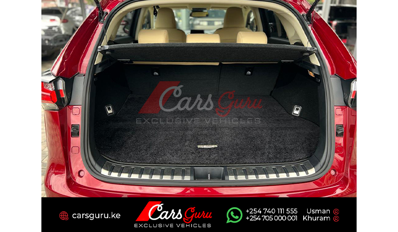 2015 Lexus NX NX200T image-12