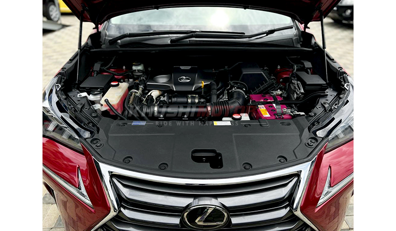2015 Lexus NX NX200T image-26