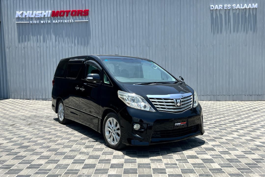 2008 Toyota Alphard image-1
