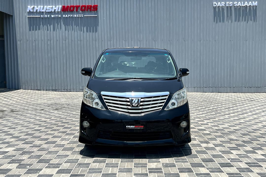 2008 Toyota Alphard image-8