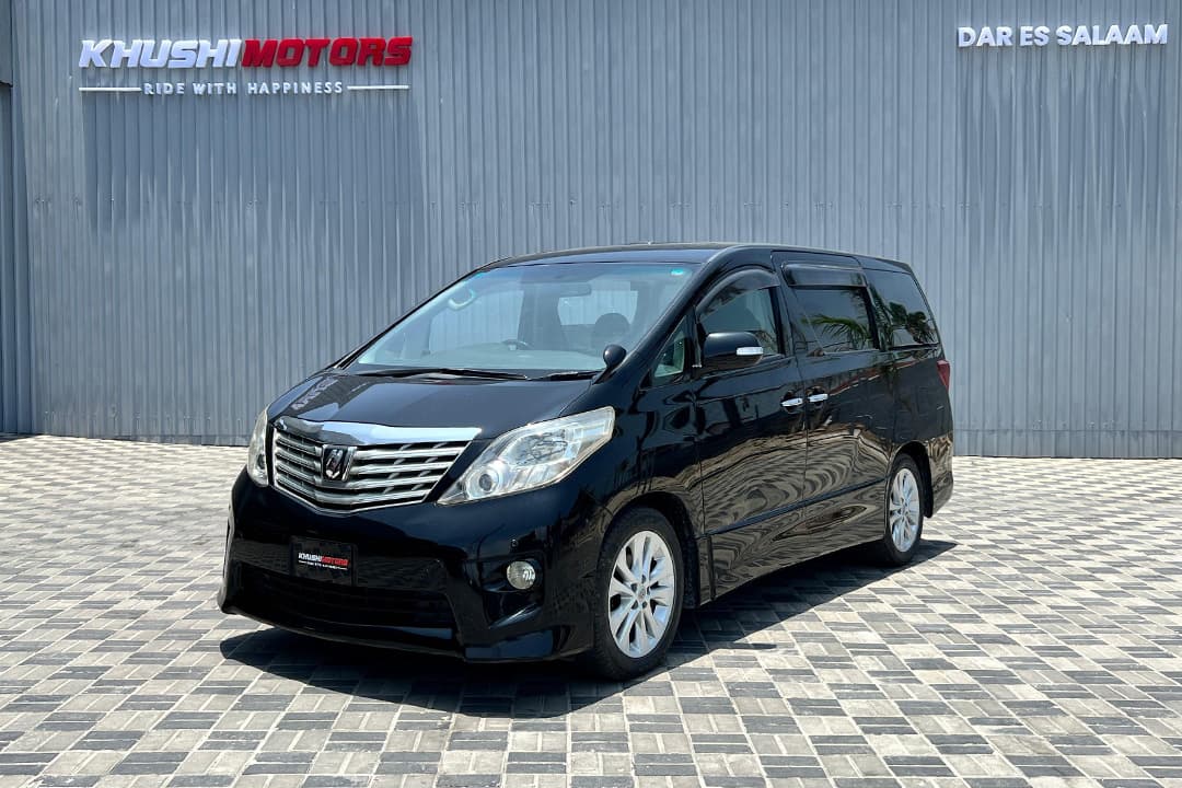 2008 Toyota Alphard image-9