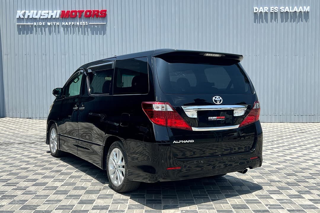2008 Toyota Alphard image-10