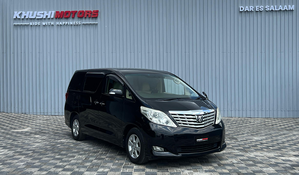 2009 Toyota Alphard image-1