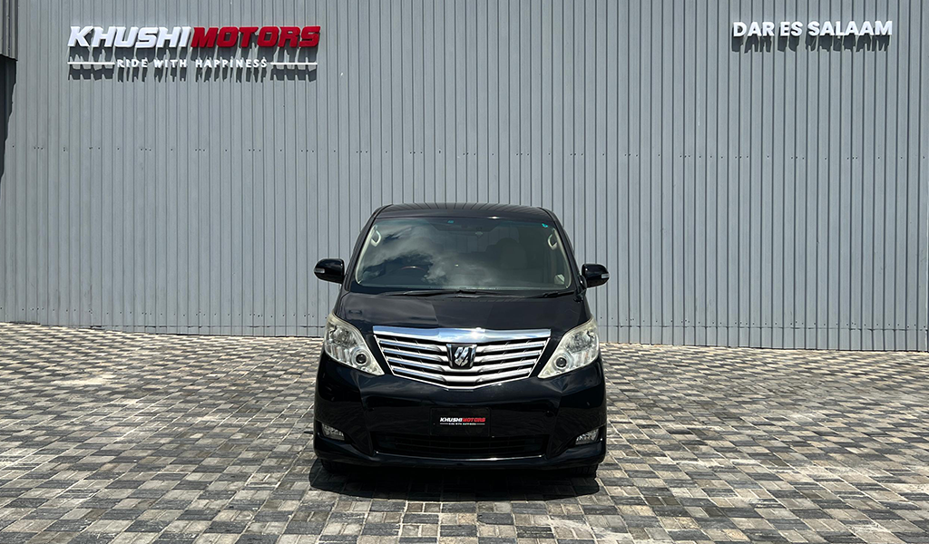 2009 Toyota Alphard image-10