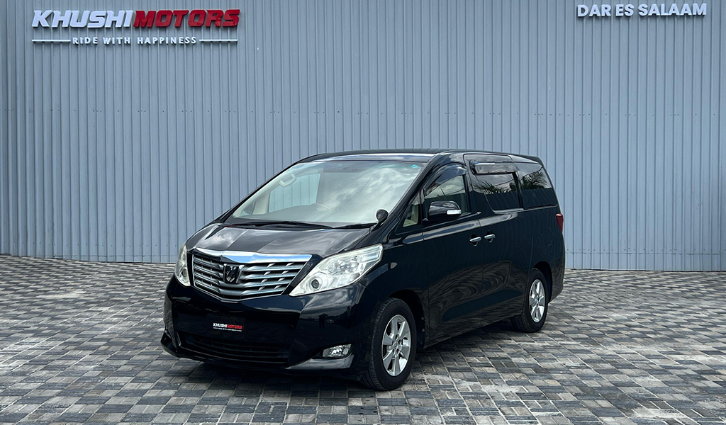 2009 Toyota Alphard image-11