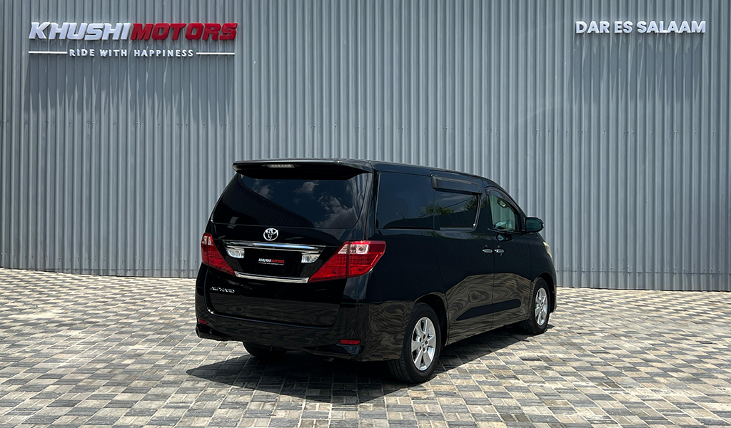 2009 Toyota Alphard image-13