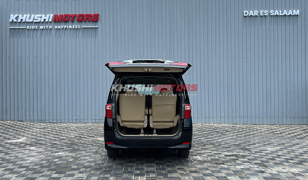 2009 Toyota Alphard image-18