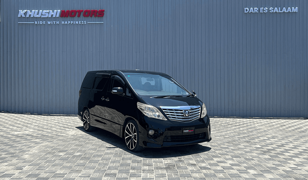 2010 Toyota Alphard image-1