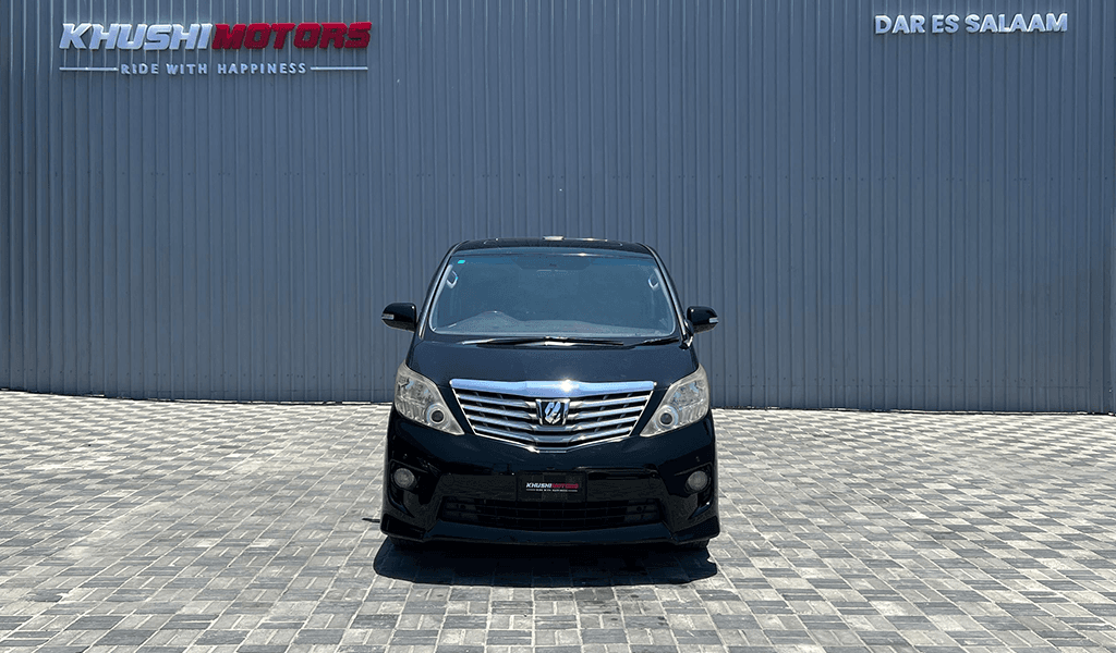 2010 Toyota Alphard image-8