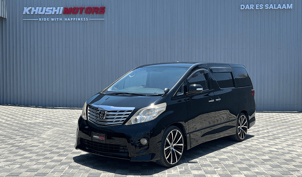2010 Toyota Alphard image-9