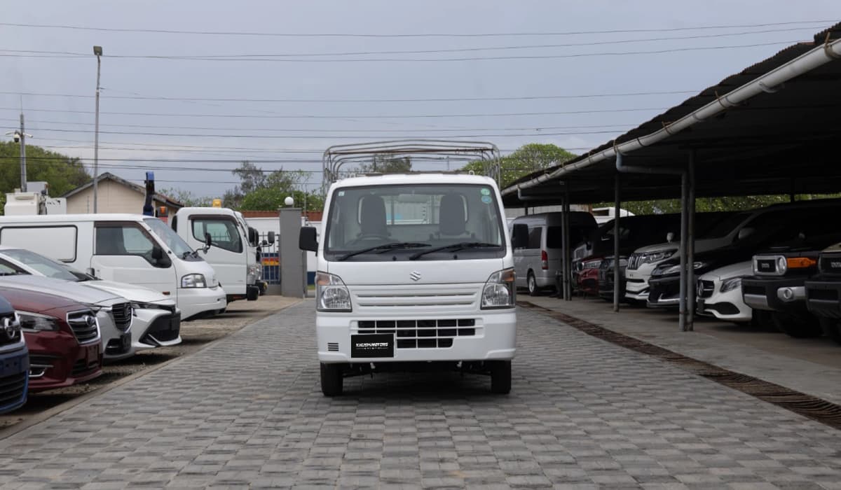 2018 Suzuki Carry 350 Kg image-18