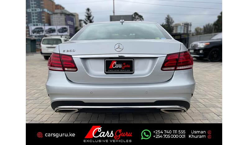 2015 Mercedes-Benz E-Class Avantgarde E250 image-2