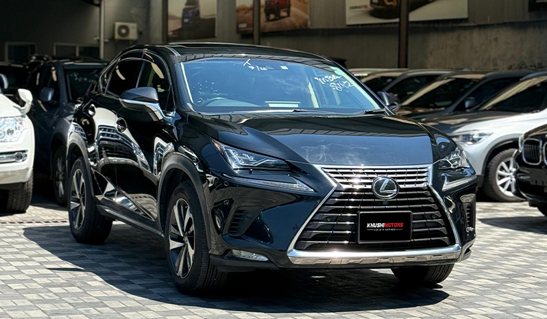 2018 Lexus Nx300 image-1