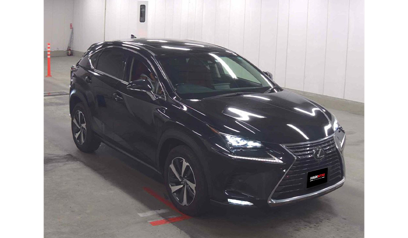 2018 Lexus Nx300 image-2