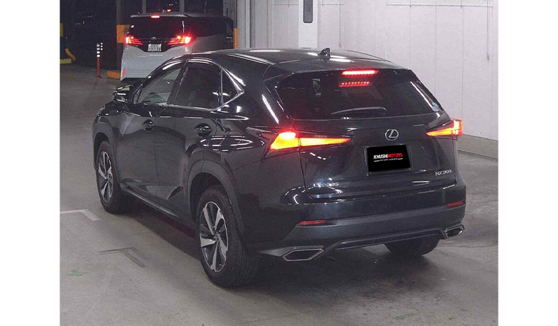 2018 Lexus Nx300 image-3