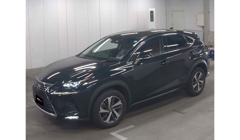2018 Lexus Nx300 image-4