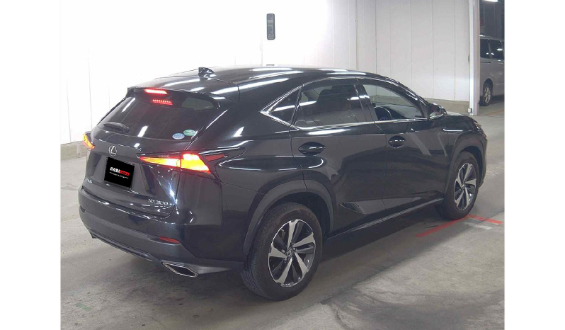 2018 Lexus Nx300 image-5