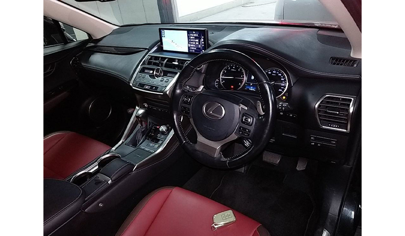 2018 Lexus Nx300 image-6