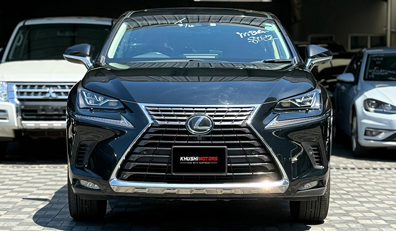 2018 Lexus Nx300 image-8