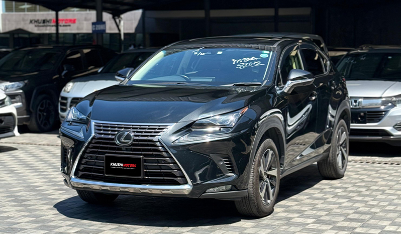 2018 Lexus Nx300 image-9