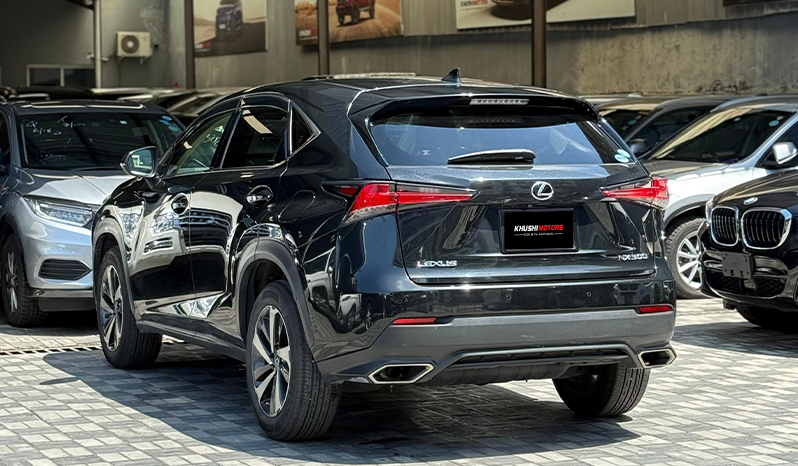 2018 Lexus Nx300 image-10