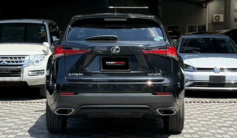 2018 Lexus Nx300 image-11