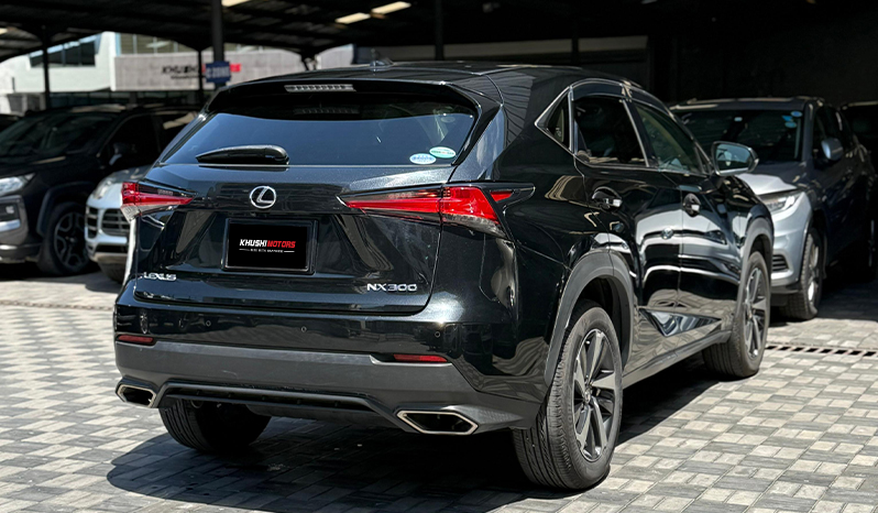 2018 Lexus Nx300 image-12