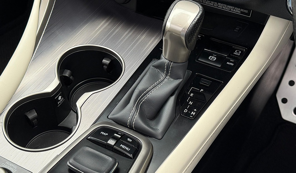 2018 Lexus RX300 image-4