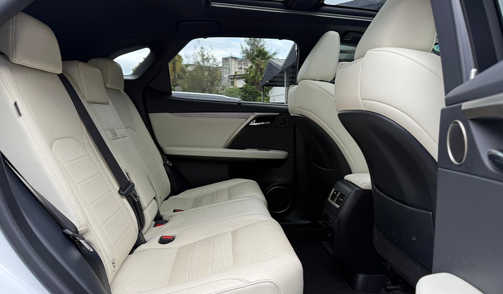2018 Lexus RX300 image-5