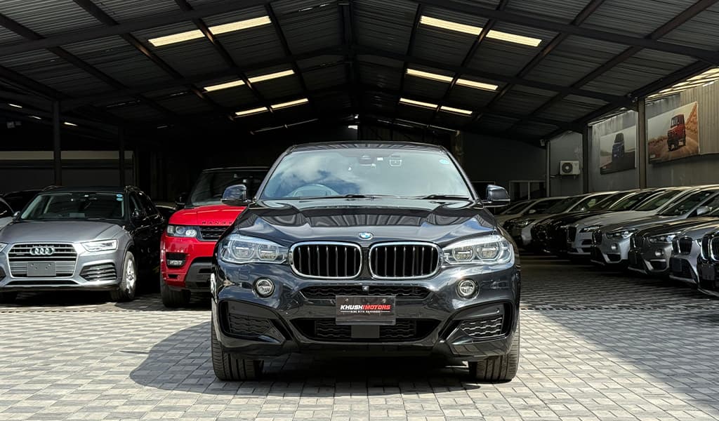 2018 Bmw X6 image-8