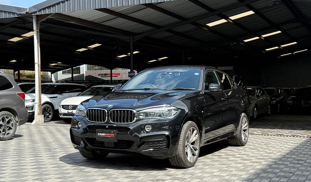 2018 Bmw X6 image-9