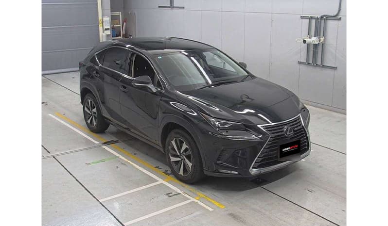 2019 Lexus Nx300 image-1