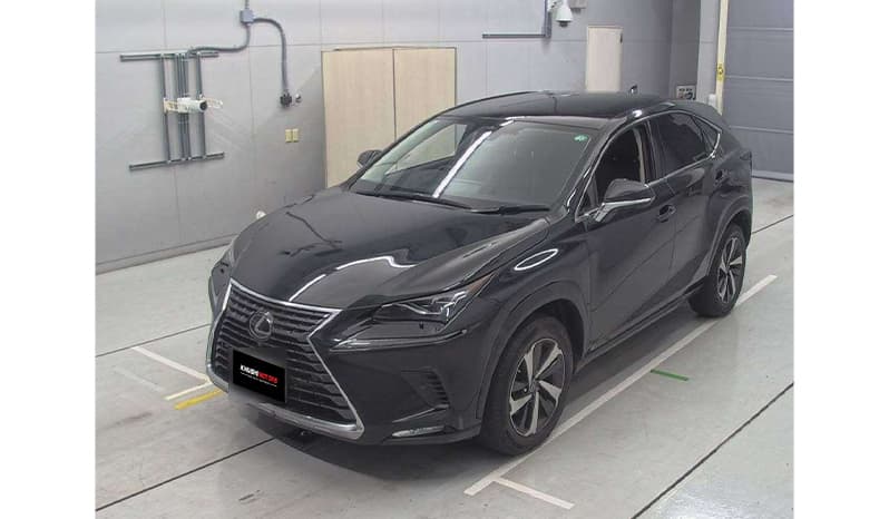 2019 Lexus Nx300 image-2