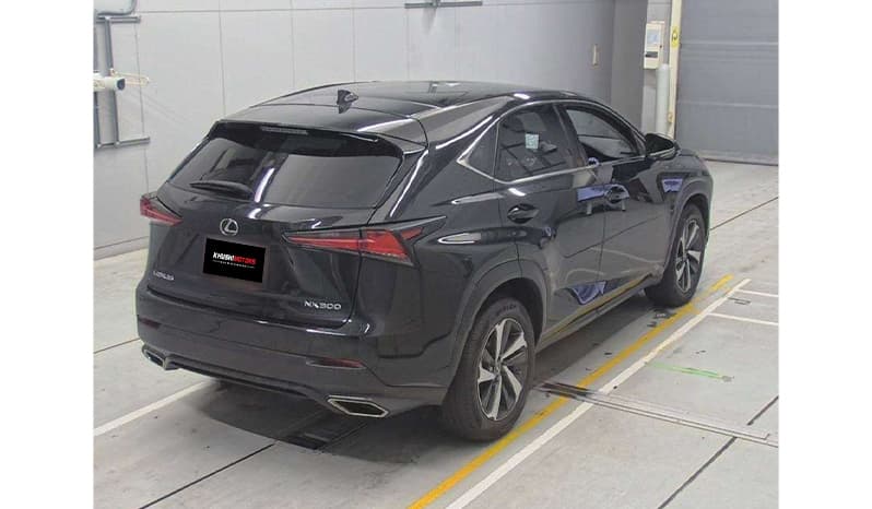2019 Lexus Nx300 image-3