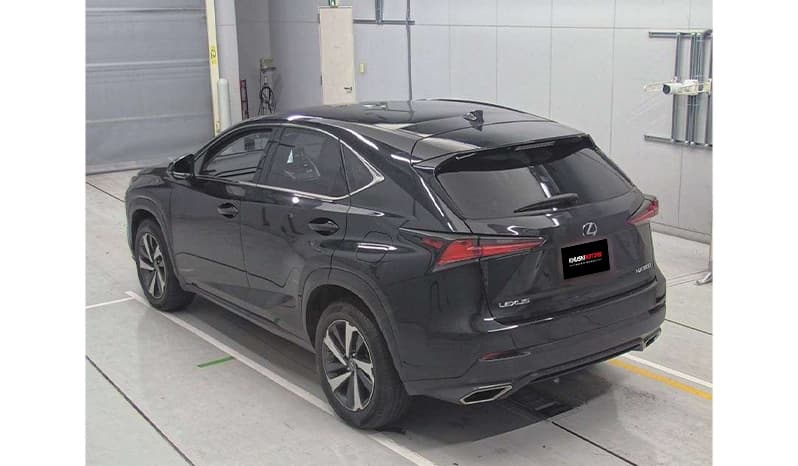 2019 Lexus Nx300 image-4