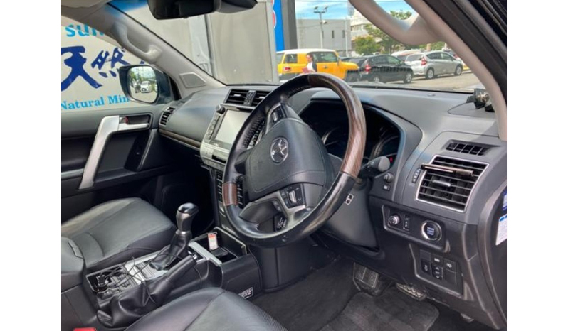 2018 Toyota Land Cruiser Prado image-8
